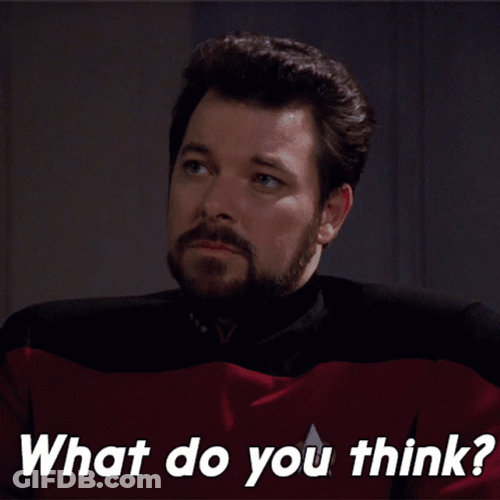 What Do You Think William T. Riker GIF
