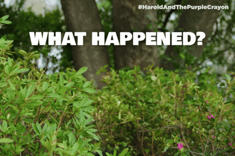 What Happened Man Coming Out From The Bushes GIF