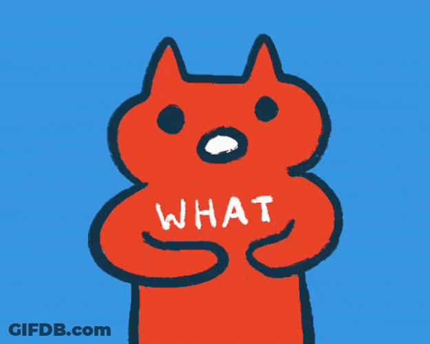 What Have I Done Cat Love GIF