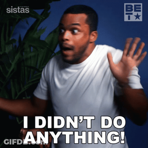 What I Didn't Do Anything GIF