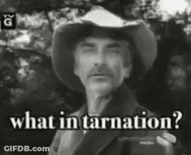 What In Tarnation GIF