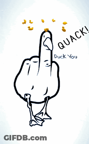 What Is A Duck If It Can't Quack GIF