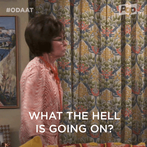 What Is Going On Old Lady GIF