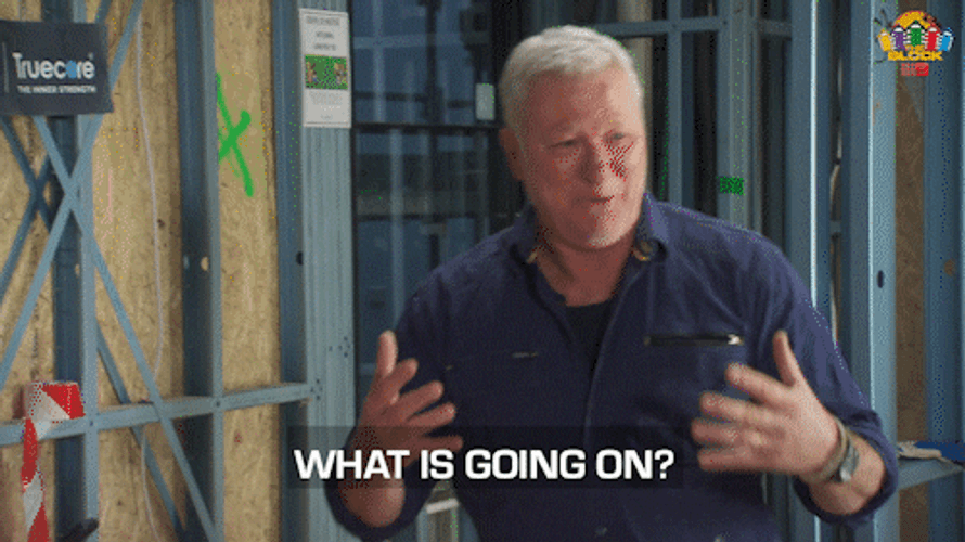 What Is Going On Scott Cam GIF