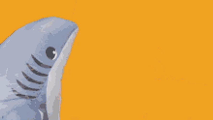 What Is Going On Shark GIF