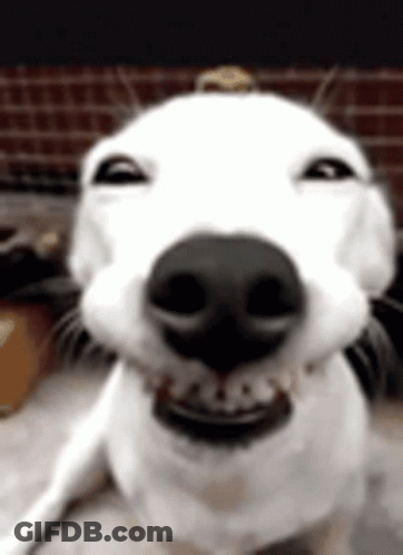 What Is Happening GIF