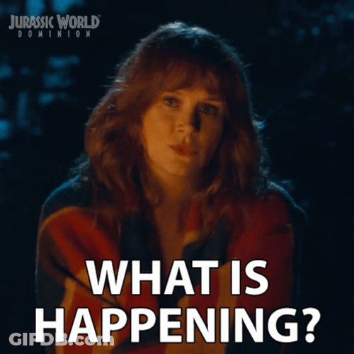 What Is Happening Bryce Dallas Howard GIF