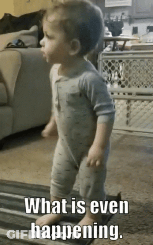 What Is Happening GIF