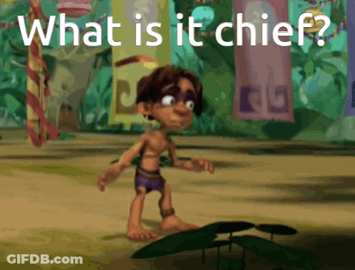 What Is It Chief Cartoon GIF