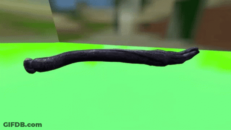 What Is That Leech GIF