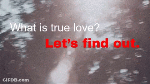 What Is True Love Let 'S Find Out In Red GIF