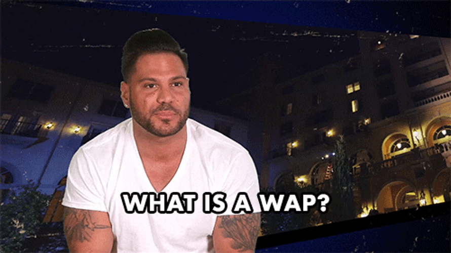 What Is Wap Jersey Shore GIF