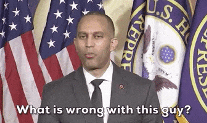 What Is Wrong With This Guy Hakem Jeffries GIF