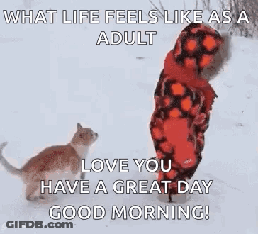 What Life Feels Like As A Adult Love You Have A Great Day Good Morning . GIF