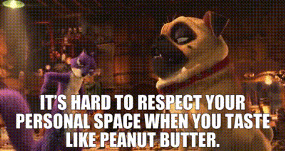 What Like Its Hard To Respect Your Personal Space GIF