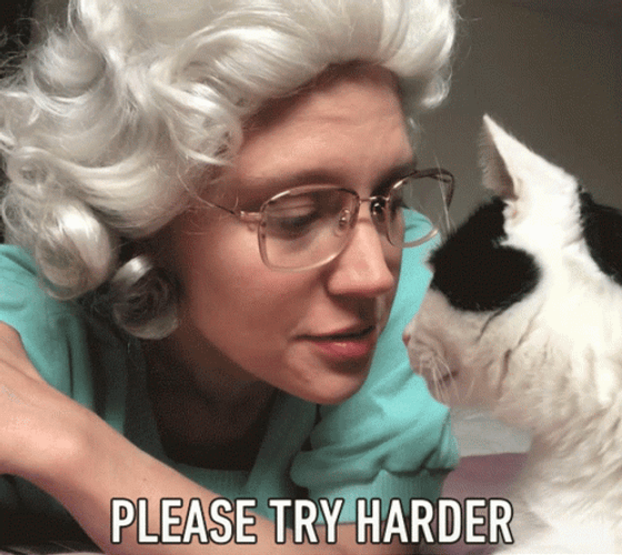 What Like Its Hard Were You Please Try Harder GIF