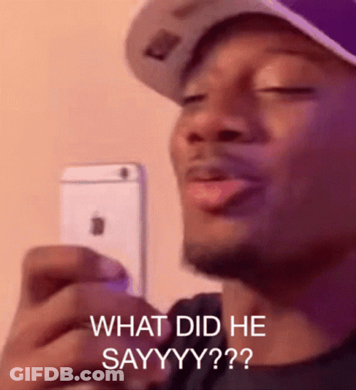 What Meme What Did He Say GIF