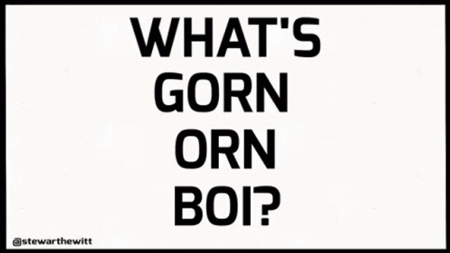 What's Going On Boi GIF