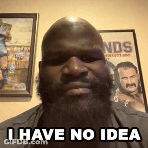 What's Going On I Have No Idea GIF