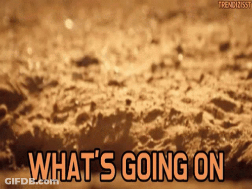 What's Going On In Orange Letters GIF
