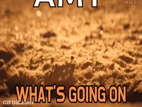 What S Going On Sign GIF