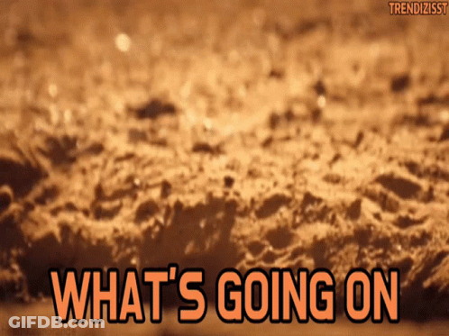What's Going On GIF