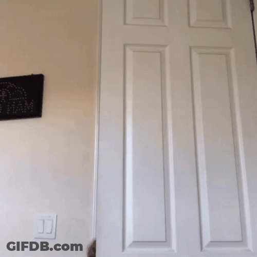 What's In Here Rubbing Hands GIF