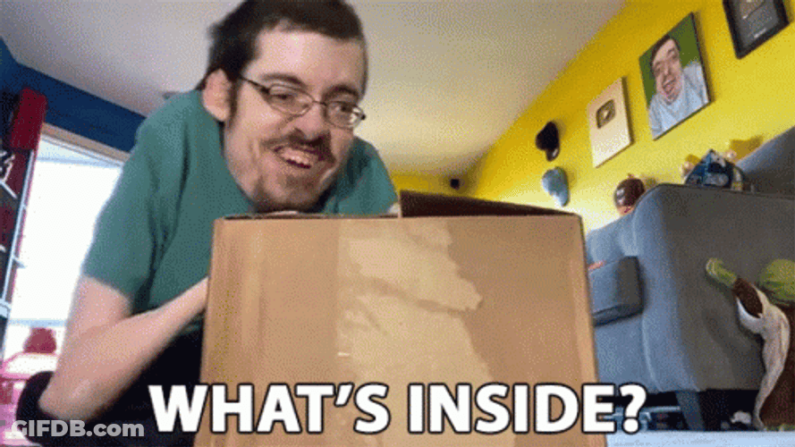 What's In The Box Excited Ricky Berwick GIF