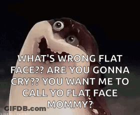 What 'S Wrong Flat Face Are You Gonna Cry ? You Want Me To Call Yo Flat Face Mommy ? GIF