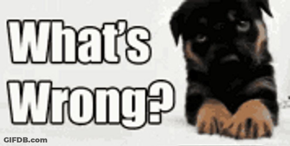 What's Wrong Sad Dog GIF