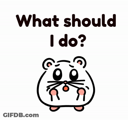 What Should I Do Hamster GIF
