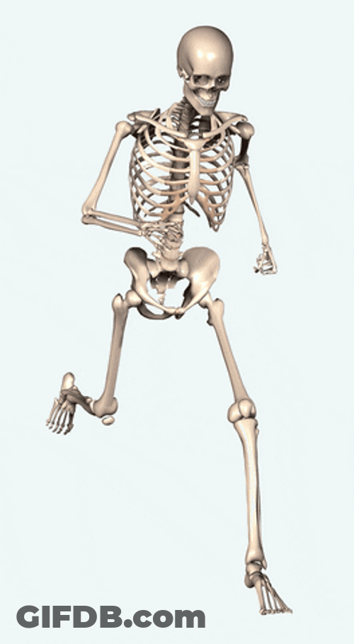 What Skeleton Running Look Like GIF