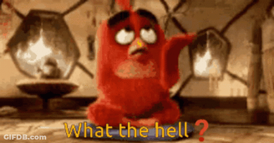 What The Hell Angry Bird Red GIF
