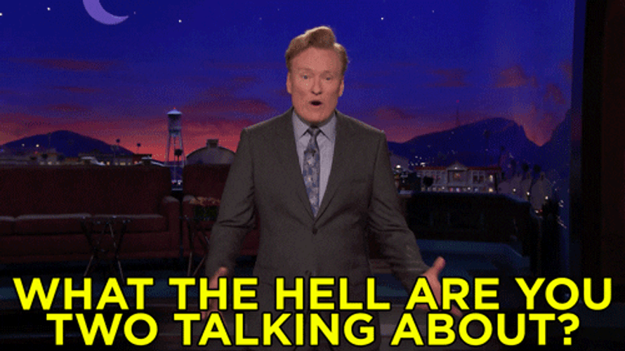 What The Hell Are You Talking About GIF