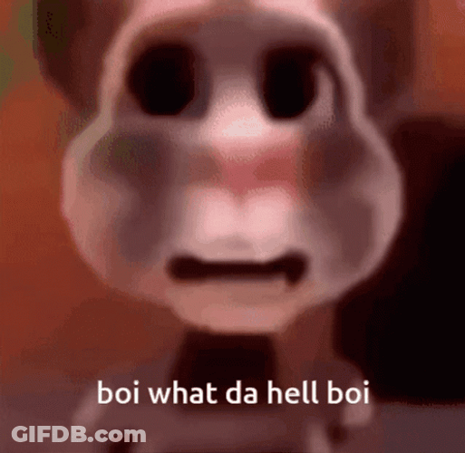 What The Hell Boi Meme GIF