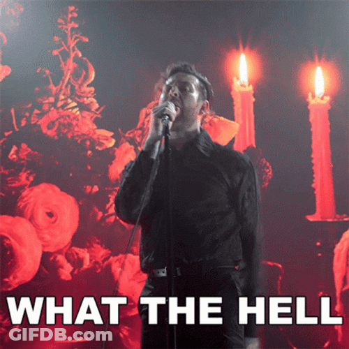 What The Hell Buddy Nielsen GIF