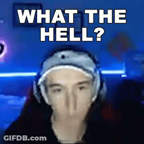 What The Hell Gamer Livestreamer GIF