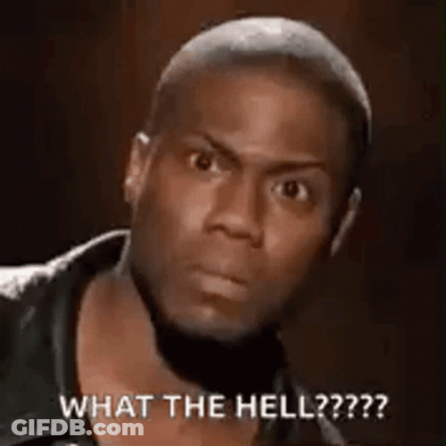 What The Hell Kevin Hart Meme GIF