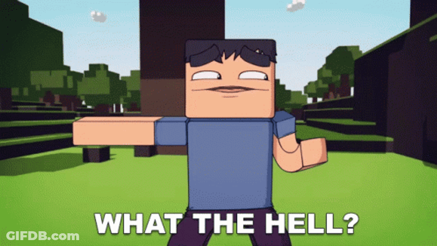 What The Hell Minecraft GIF