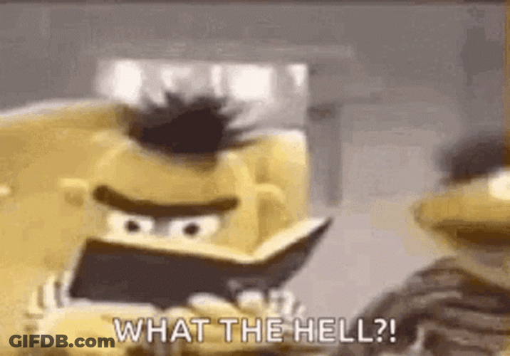What The Hell Sesame Street Ernie GIF