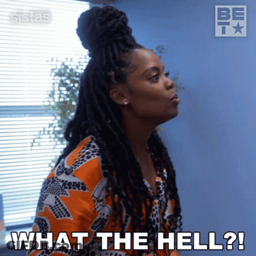 What The Hell Sistas GIF