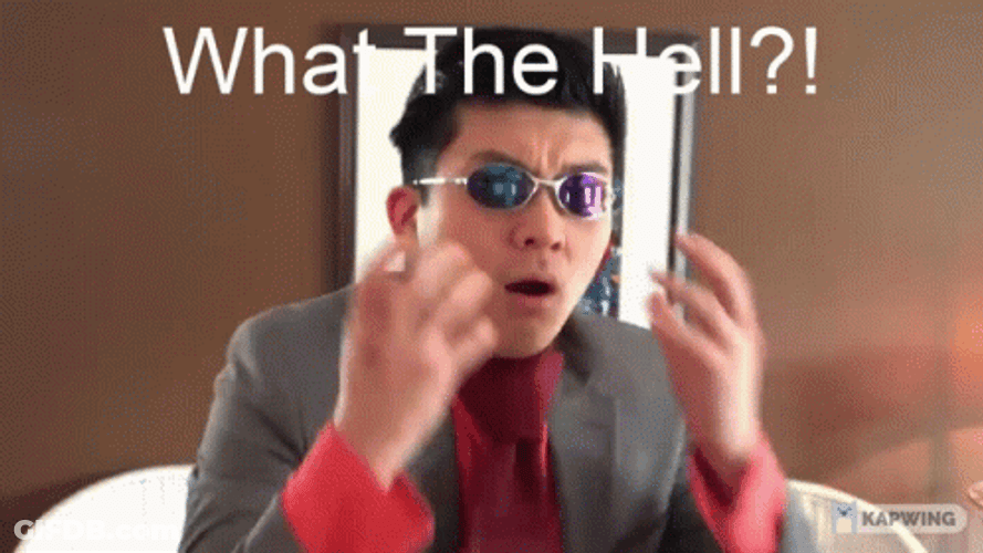 What The Hell Steve He GIF