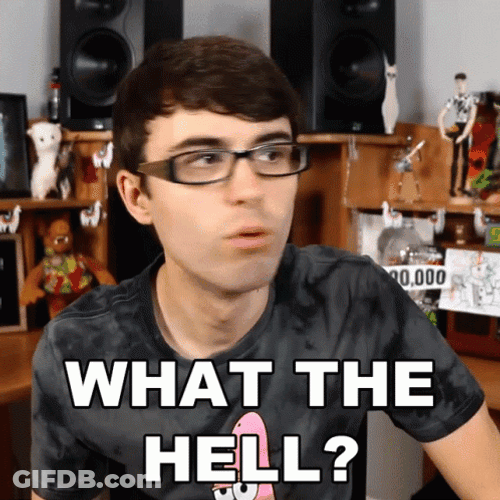 What The Hell Steve Terreberry GIF