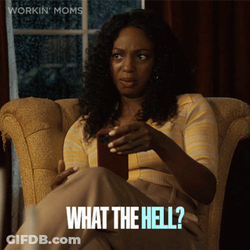 What The Hell Working Moms GIF