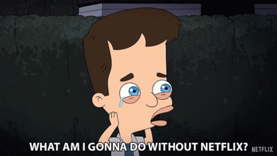 What To Do Without Netflix GIF