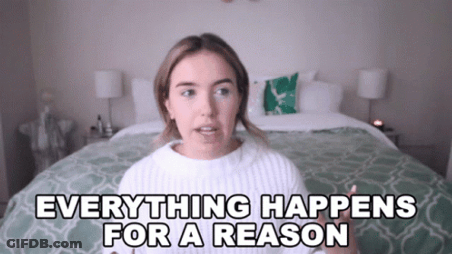 What Was The Reason Youtuber Explaining GIF