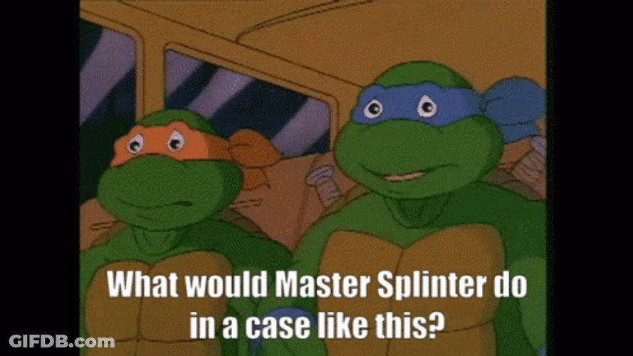 What Would Master Splinter Do TMNT GIF