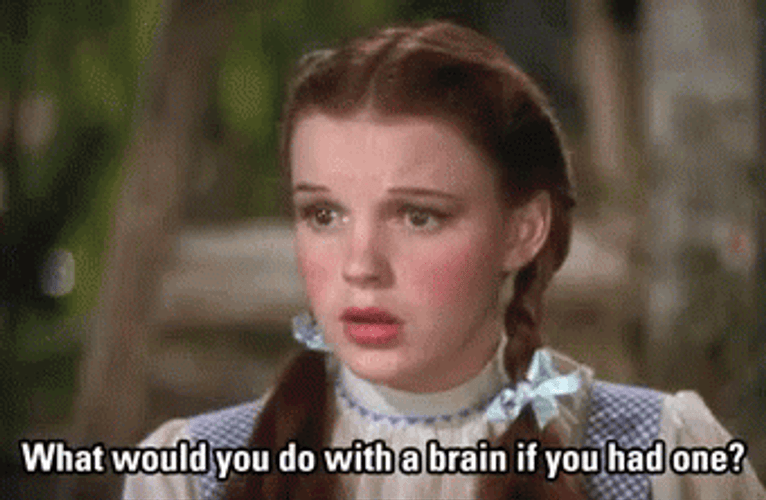 What Would You Do With A Big Brain Meme GIF