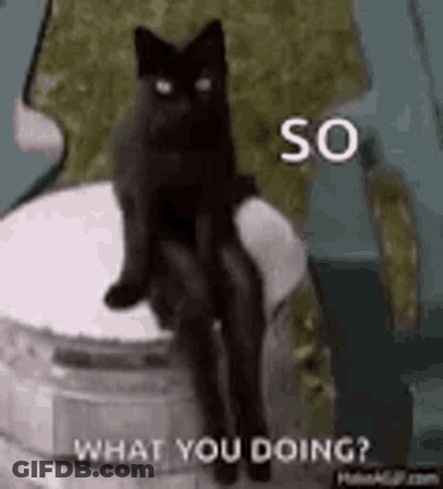 What You GIF