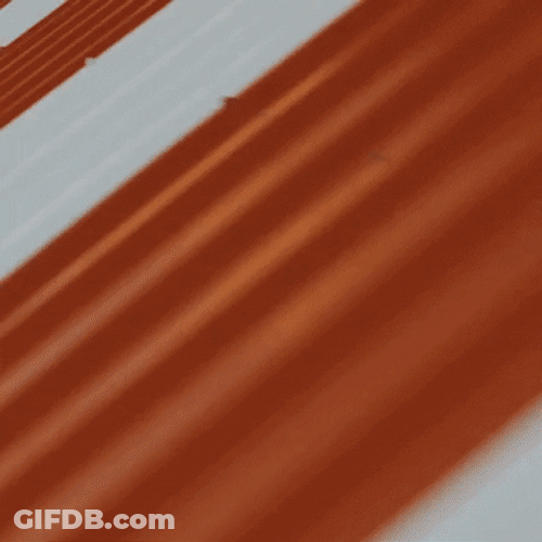 Whataburger Store Open GIF